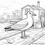 Seagull Coloring Pages  Free & Printable sketch template