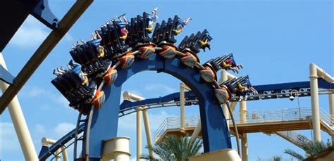 Montu at Busch Gardens Tampa - CoasterBuzz