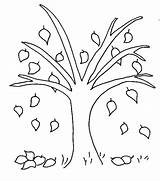 Fall Tree Coloring Page Pages sketch template