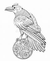 Flying Crow Coloring Pages sketch template
