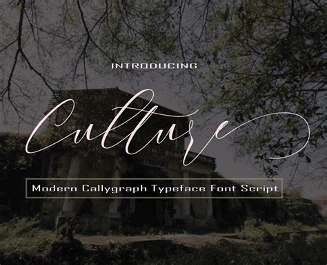 Culture font | Fonts2u.com