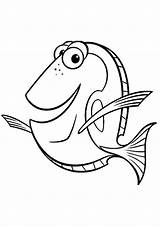 Bubbles Finding Nemo Coloring Page sketch template
