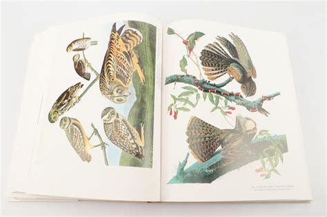 "Audubon's Birds of America" Baby Elephant Folio by the Petersons, 1985 | EBTH