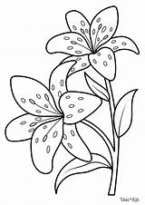 Lily Coloring Pages Free Printable PDFs  WakeTheKids sketch template