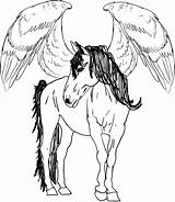 Pegasus Coloring Pages For Adults At GetDrawings  Free Download sketch template