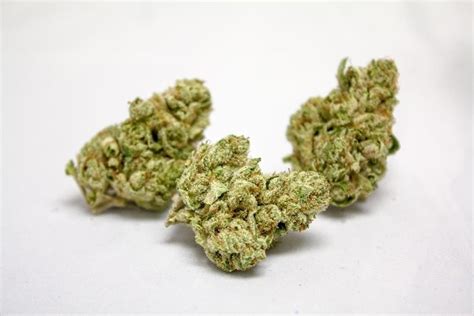 Face Off OG | Marijuana Strain Reviews | AllBud