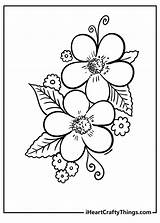 Printable Coloring Pages Flowers sketch template