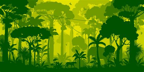 Jungle forest silhouette, rainforest background 24082057 Vector Art at ...