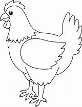 Chicken Coloring sketch template