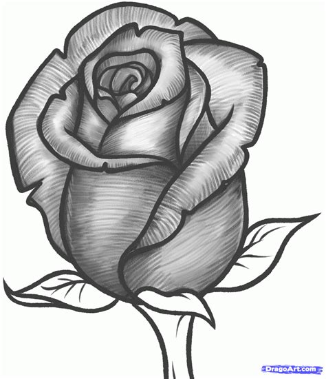 JUST SIMPLE BLOG: HOW TO DRAW A ROSE BUD