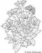 10 Pretty Coloring Pages For Beautiful Artwork  Craze sketch template