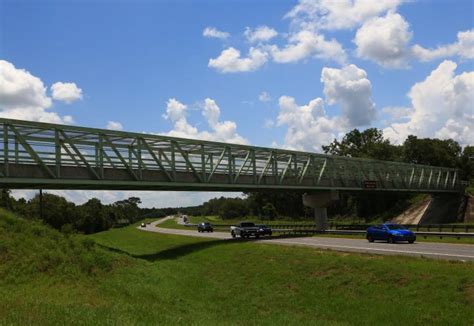 Withlacoochee State Trail | Florida State Parks