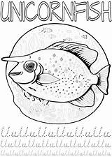 U Is For Unicornfish  Animal Alphabet Free Coloring Page Posters sketch template
