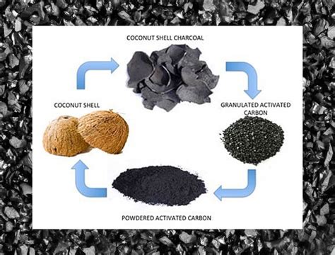 CG CARBON INDIA PRIVATE LIMITED | ACTIVATED CARBON MANUFACTURERS IN KERALA, INDIA | INDIA'S ...