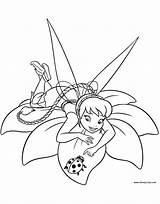 Disney Fairies Vidia Coloring Pages sketch template