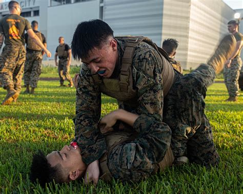 DVIDS - Images - U.S. Marines conduct morning physical training for a Martial Arts Instructor ...