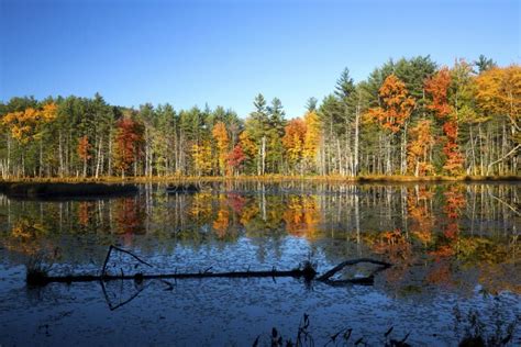 Fall Foliage and Reflections in Plymouth, New Hampshire. Stock Image - Image of nature, trees ...