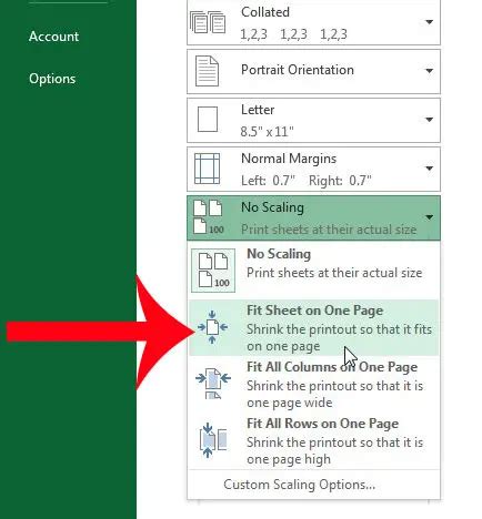 How to Print a Spreadsheet on One Page in Excel 2013 - Solve Your Tech