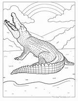 25 Crocodile Coloring Pages Free PDF Printables sketch template