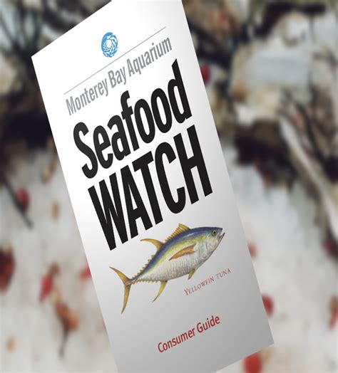 Sustainable Seafood Lists for You | Habilinks