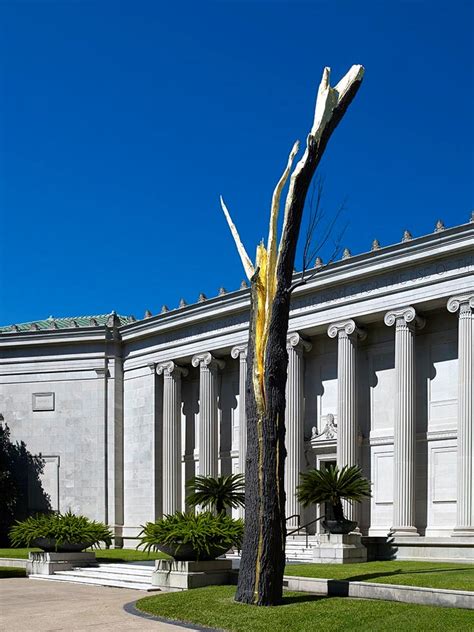 Gardening with the MFAH | Inside the MFAH | The Museum of Fine Arts ...