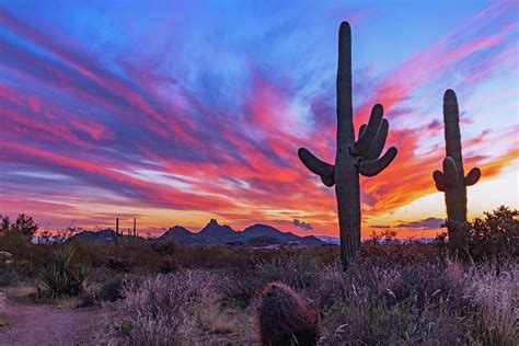 Arizona Desert Sunset Near Hiking Trail With Cactus Photograph by Ray Redstone - Pixels