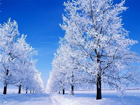 Beautiful Snow Scenes Wallpapers - Top Free Beautiful Snow Scenes ...