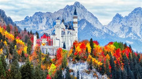 Germany Tour Packages & Holidays 2021/2022 | Tripfez Travel