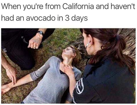 California Is A Crazy State And These Memes Prove It - Helpful Guide ...