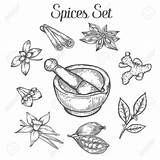 Spices Coloring Pages sketch template