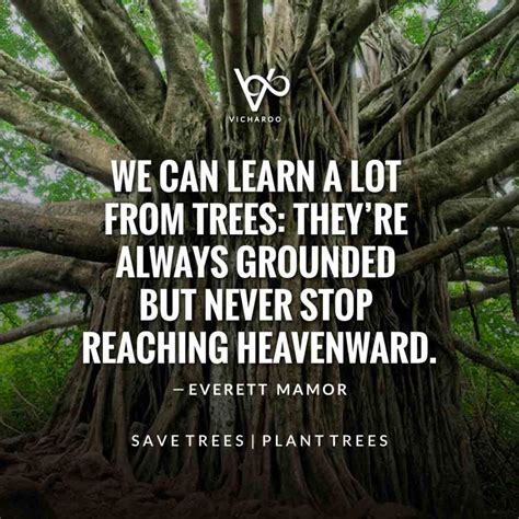 We can learn a lot from trees. They are always grounded but never stop reaching heavenward ...