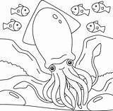 Desenhos De Lula Gigante Para Colorir E Imprimir Colorironline Com  sketch template