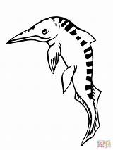 Ichthyosaurus Coloring Page sketch template