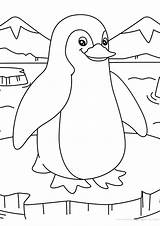 Coloring Pages  Free Printable Penguin PDF sketch template
