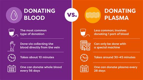 Donating Plasma vs Blood: What's the Difference?