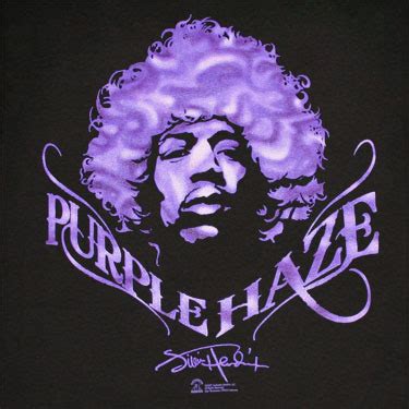 The Jimi Hendrix Experience – Purple Haze Lyrics | Genius Lyrics