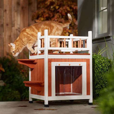 FRISCO Outdoor Wooden A-Frame Cat House, Medium - Chewy.com