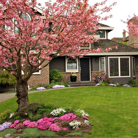 10 Tips for Landscaping Around Trees | Family Handyman