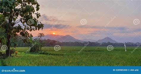 Matahari Sunrise Di Sawah Desa Stock Photo - Image of sunrise, desa: 228985300