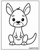 Cute Kangaroo Coloring Pages Free PDF Printables  Sunny sketch template