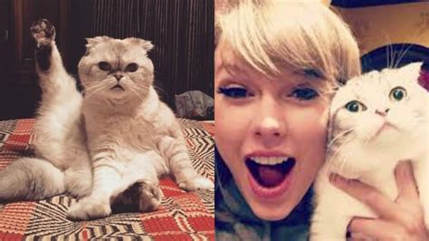 Fans love the brilliant way Meredith and Olivia are a part of Taylor Swift’s 'Cats' casting [Video]