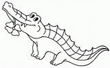 Free Crocodile Coloring Page Download Png  sketch template