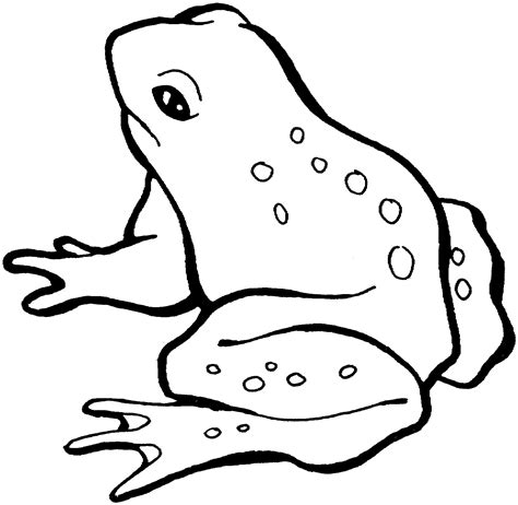 outline image of frog - Clip Art Library