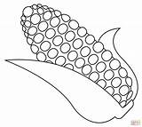 Ear Of Corn Coloring Page sketch template