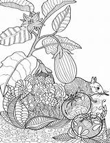 Printable Garden Coloring Pages For Adults sketch template