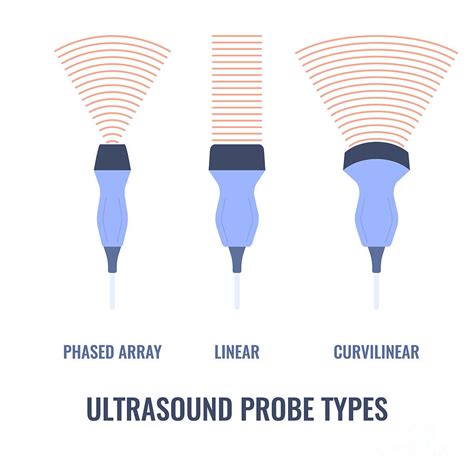 Ultrasound Probe Types Photograph by Art4stock/science Photo Library - Fine Art America