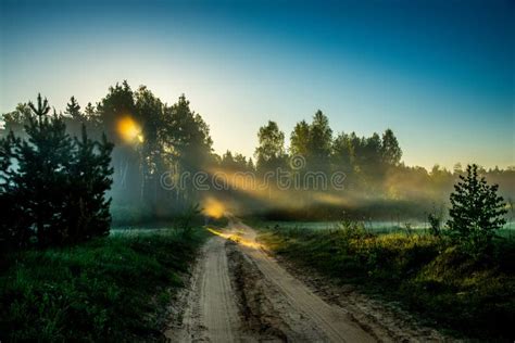 Road Near Forest at Sunrise Stock Image - Image of land, foliage: 117492227