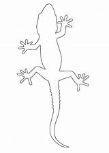 Leopard Gecko Coloring Page  Free Printable Pages For Kids sketch template