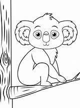 25 Free Koala Coloring Pages For Kids And Adults sketch template