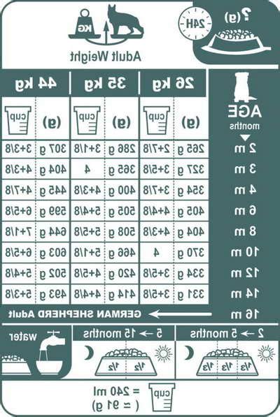 German Shepherd Feeding Chart: A Visual Reference of Charts | Chart Master